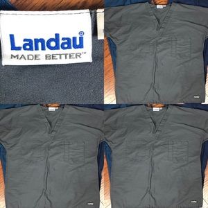 Landau Scrub